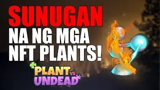 Sunugan na ng NFT PLANTS! #PVU #Filipino #Tagalog