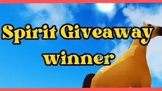 Spirit Giveaway Winner