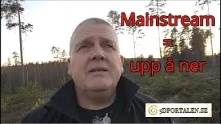 Kort analys av läget