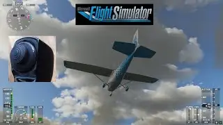 FS2020: How to Set-up the Hat Switch to look around freely in External View -  like FSX and X-Plane!