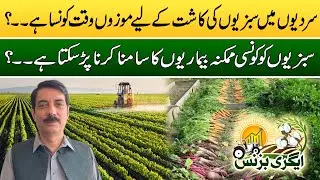 Sardion Main Kashat Kay Liay Munasib Waqat Konsa Hai | Agree Business | 13 Sep 2024 | Rohi