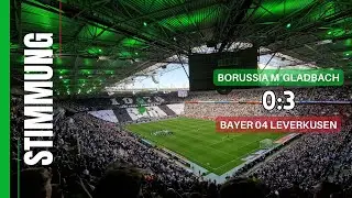 Borussia Mönchengladbach - Bayer 04 Leverkusen | Gladbach ist der geilste Club der Welt!