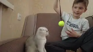 КАК БЫСТРО УЧИТЬ СТИХИ (Муха Цокотуха)