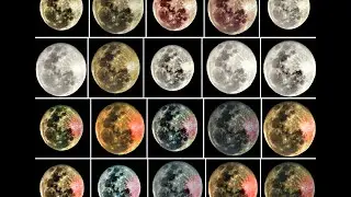 LUNA Fotos de La Super Luna con todos sus colores. 