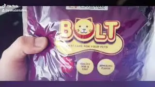 BOLT brand cat food review