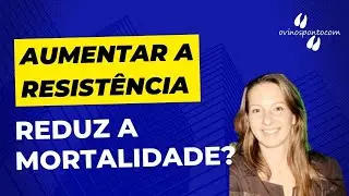 Aumentar a resistência reduz a mortalidade?