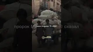 #хадис