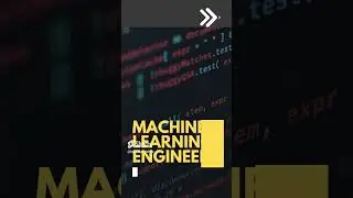 The Best Python Jobs In 2024 That Nobody Told You 