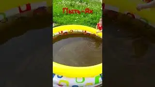 35. ВОДА, КРУГОМ ВОДА