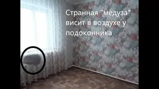 ПОЛТЕРГЕЙСТ "КРАПИВА". МИССИЯ ПРЕРВАНА