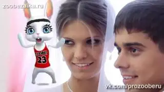 Не женюсь я не женюсь! Прикольная заводная песенка переделка ZOOBE Муз Зайка