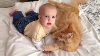 Cats Meeting Babies for the FIRST Time [Compilation]