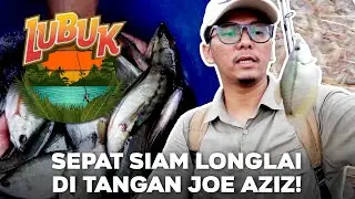 #LubukInspirasi - Sepat Siam Longlai di tangan Joe Aziz!