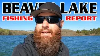 Beaver Lake Fishing Report April 2023