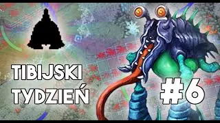 [PL] Tibia - Tibijski Tydzień | Soul, Brain, Magma #6