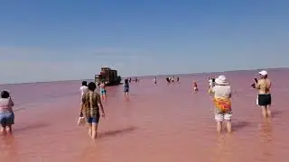 Бурлинское озеро (Алтайский край)