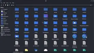 How can we port forwarding with Ngrok in Kali Linux