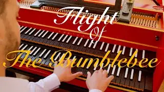 Flight of the Bumblebee - Rimsky Korsakov