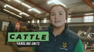 Gurteen College Online Tour