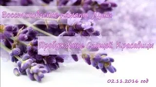 Good Morning with MAARA and YAEL! Soul Memory Retrieval. Sleeping Beauty Awakens (11/02/2016)