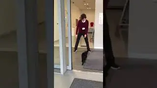 Охрана и коты 18