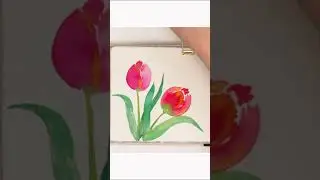 Tis’ the season for beautiful tulips!