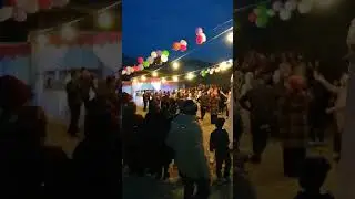 КОНИБОДОМ ТУЙ