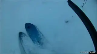 охота на зайца беляка с русской гончей.Первый заяц этого года