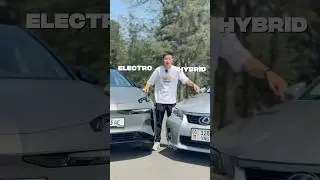 Electric VS Hybrid?