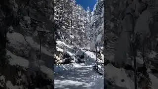 Snow ☃️❄