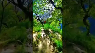 just feel the nature 🍁🌱🌴🌳 #viral #shorts