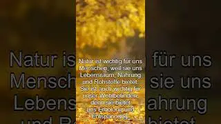 Natur. Was ist die Natur? (Education)