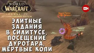 Элитные задания в Силитусе, посещение Дуротара, Мёртвые Копи - WoW Classic Anniversary Edition