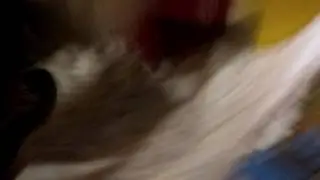 Мопсик катается с горки