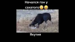 Прелюдия🤭.