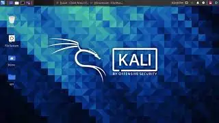 Как подключить анонимный VPN и удаленный рабочий стол rdp внутри vpn на Kali Linux openvpn и remmina