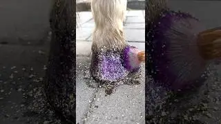 Glitter horse😍 Eco friendly glitter♻️ #shorts #glitter #horse