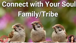 Energy to Connect You with Your Soul Family/Tribe