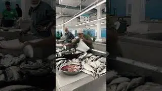Говорят, в Маскате нечего делать.. Опровергаю! Вот, что можно посмотреть в Маскате за три дня