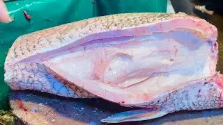 Amazing Lakkha Fish Cutting Skills Live Video In BD Market | Fish Cutting Skills