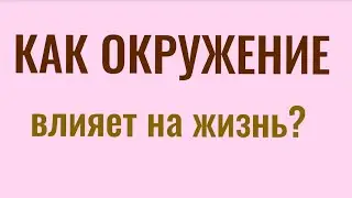 Как окружение влияет на жизнь?