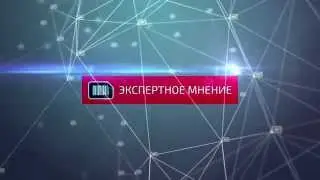 ЭКСПЕРТНОЕ МНЕНИЕ