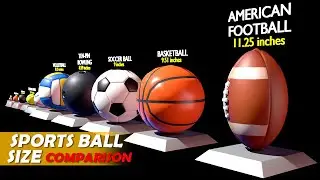Sports Ball Size Comparison | 3d Comparison
