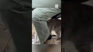 ❗️😲 Зеленский даёт интервью в 5-и километрах от линии фронта 