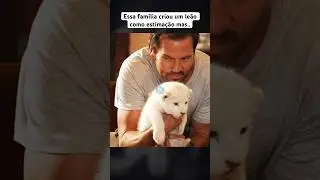 Essa menina criou um leão de estimação 