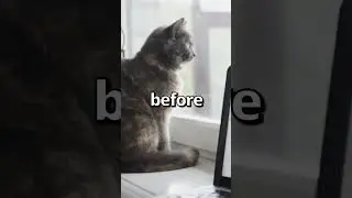 Is this the WORLDS CUTEST Bunny 😱 | Wholesome Animal