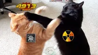 Арены против Котика / STALKER Vs Norska / Royal Quest