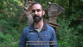 Comment construire un hôtel à insectes ?