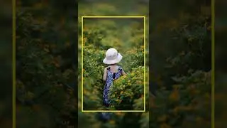 Professional Color Grading | Teal Look Color Grading | Lightroom Tutorial 