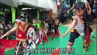 BOCIL KASIH PENGERTIAN SAMA SENIORNYA - CAKLIAN TERBAIK EBEG SINAR BUDAYA MANGUN JAYA
